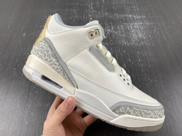 air jordan 3 retro se