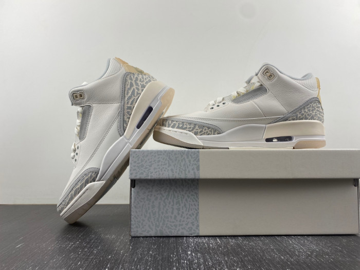 air jordan 3 retro se