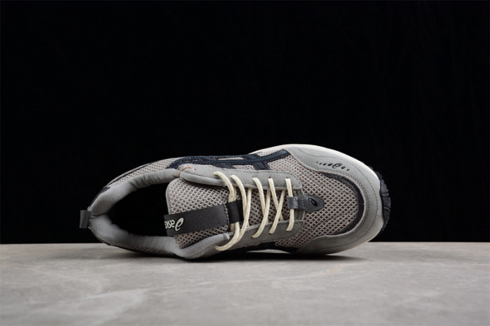 as1cs gel 1090v2