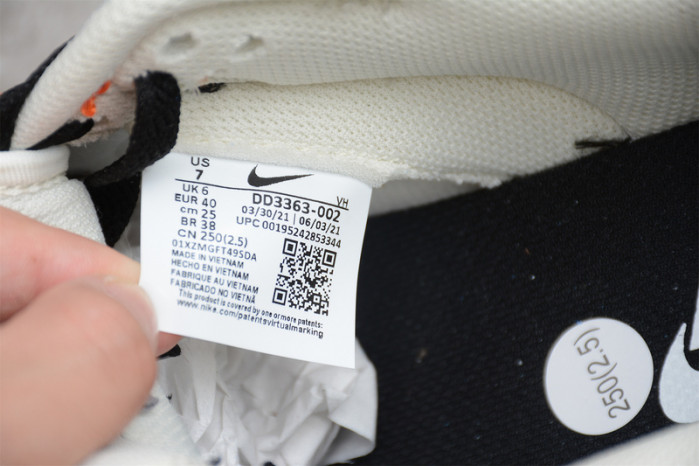 nba x dunk low emb