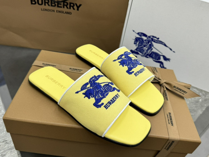 bur ** slides bur-428011