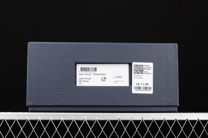 d10r b23 homme kaws high top sneaker